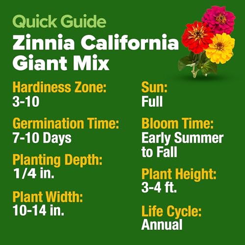 California Giant Mix Zinnia Seeds