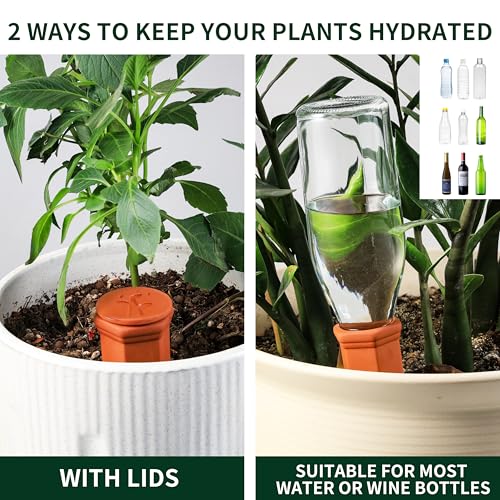 Large Terracotta Watering Spikes with Lids