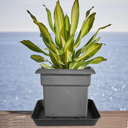 3 Pack Square Plant Saucer Tray 20 inch