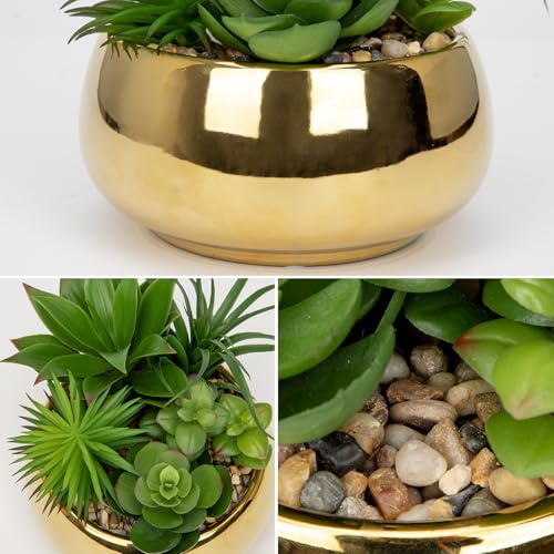 Succulents Plants Artificial in Pots Fake Succulents for Outdoors Indoor Faux Succulent Arrangement Potted Plant in Gold Ceramics Planter Bowl for Garden Office Desk Living Room Home Decor (Gold)