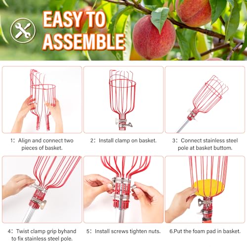 30 FT Reach Fruit Picker Pole with Basket Telescoping (Reach 30ft（24ft))
