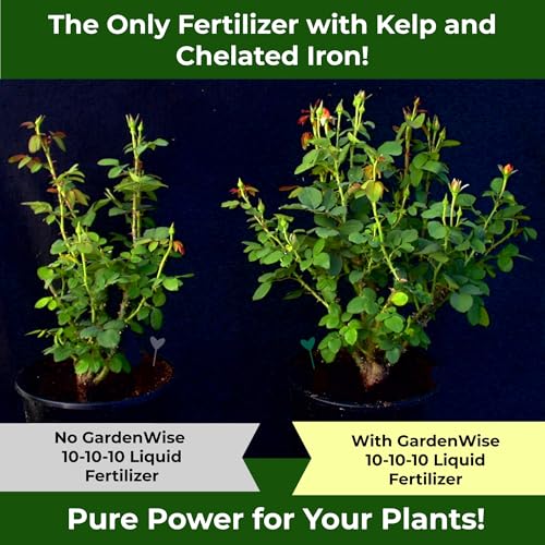 10-10-10 All Purpose Plant Food - Liquid Fertilizer with Seaweed Kelp & Iron - Indoor & Outdoor Plant Food, Vegetables, Flowers, Lawn & Garden 1x8oz (8 Ounce)