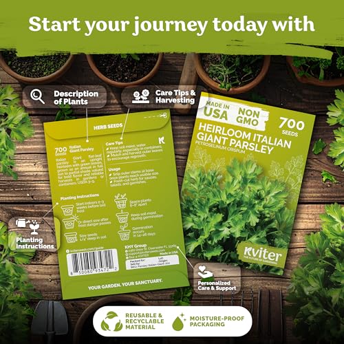 700 Italian Giant Parsley Heirloom Herb Seeds