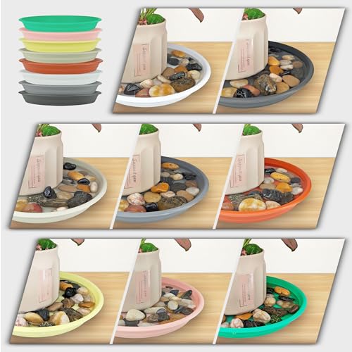 12Pcs Colourful Plant Saucer (12 Count)