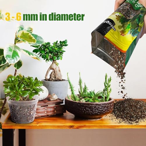 Succulent & Cactus Soil Potting Mix 2qt (64 Fl Oz)