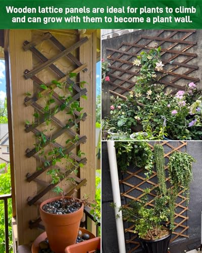 2Pack 47.2Inch Wooden Lattice Wall (2 Packs / 2 x 10 ft)
