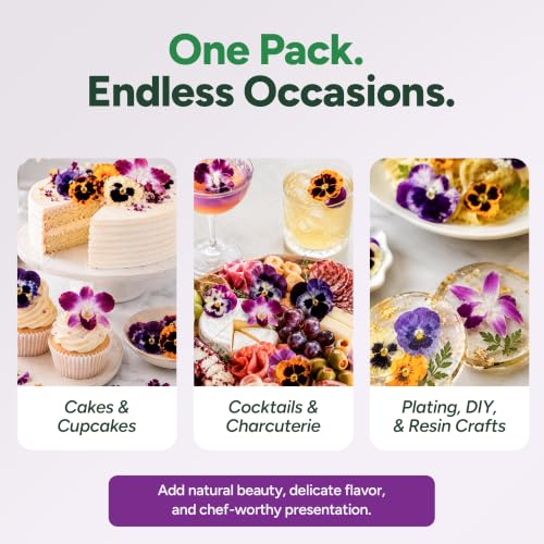 Small Orchid Freeze Dried Edible Flowers (12 Pieces)