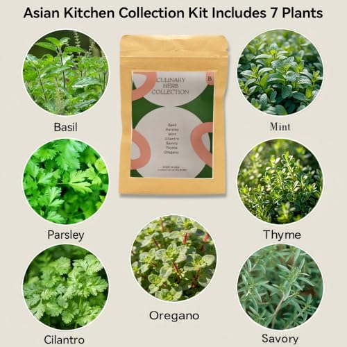 Hydroponics Herb Seed Pod Kit for AeroGarden (7Pods / Herb)