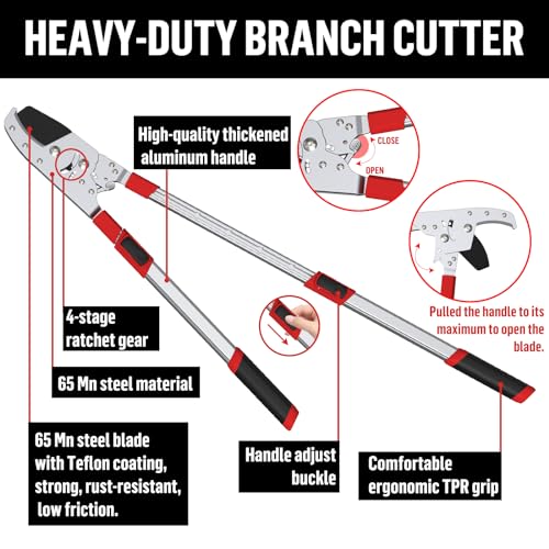 Heavy Duty Extendable Loppers