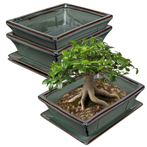 Set of 2 Large Bonsai Pots with Drainage Tray (Green / 10"x7.4"x3.1")