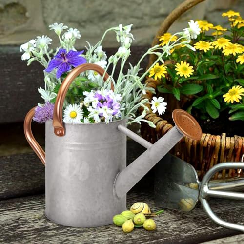 Metal Watering Can with Removable Spout (Zinc / 1 Gallon)