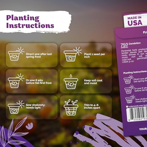750 Dandelion Heirloom Flower Seeds for Planting