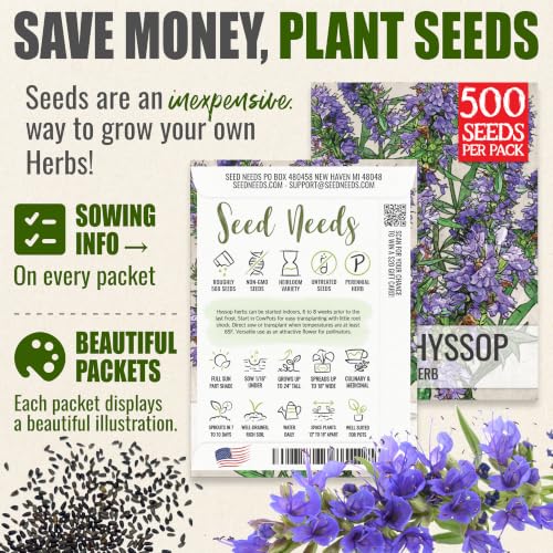 Blue Hyssop Seeds to Plant Heirloom Non (2 Packs)