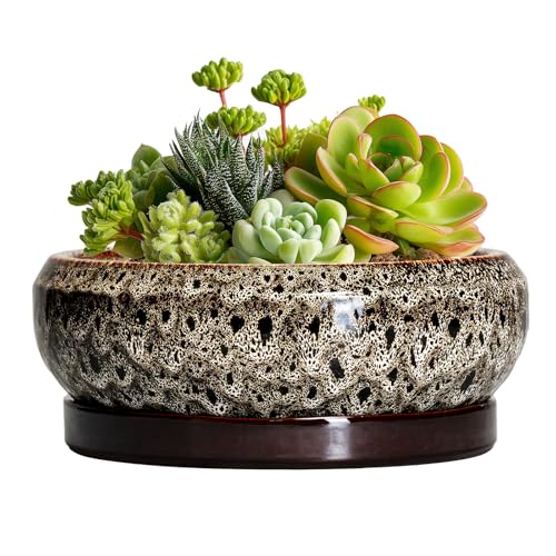 Succulent Planter 6 Inch (6 Inch / Leopard Brown-white)