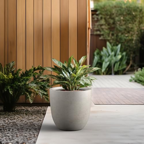 18 Inch Dia Round Concrete Planter (Buff Concrete / 18-Inch Dia)