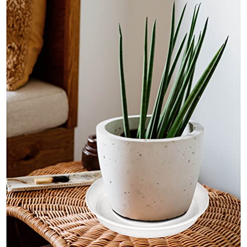 2 Pack of 10 inch Plant Saucer Gray (10" (2 pack) / Clear)