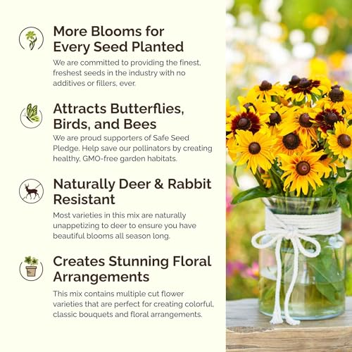 Daisy Crazy Flower Mixed Seeds for Planting (16 Ounce)