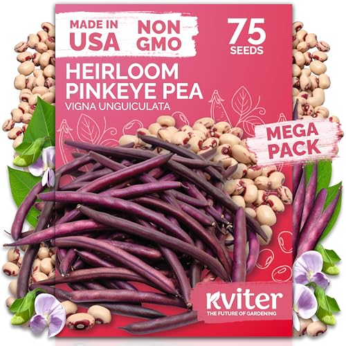 75 Top Pick Pinkeye Cow Pea Heirloom Vegetable Seeds