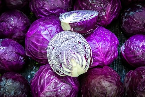 200+ Red Acre Cabbage Seeds for Planting Outdoors