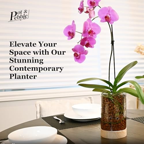 C1 Large Glass Orchid Pot