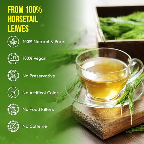 Premium 75 Horsetail Leaf Tea Bags (75 Tea Bags)