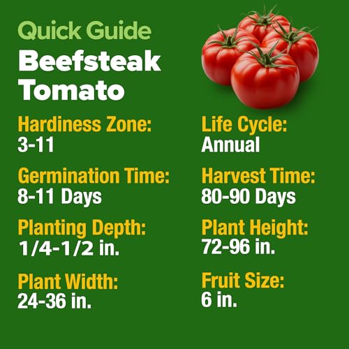 Beefsteak Tomato Seeds (2 Count)
