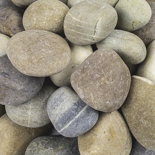 Multicolor Polished Decorative Pebbles Landscape Stone 40 lb (1 inch - 2.5 inch)