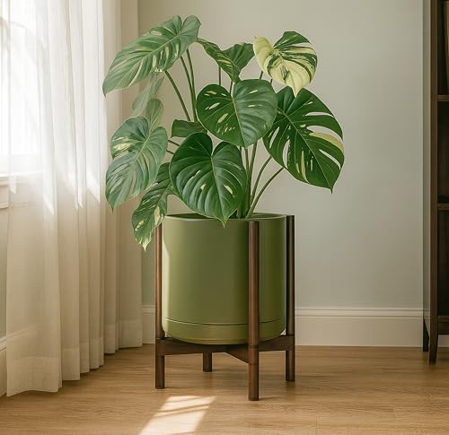 Ceramic Pot with Walnut Wood Stand (14 Inch / Olive Pot + Walnut Color Stand)