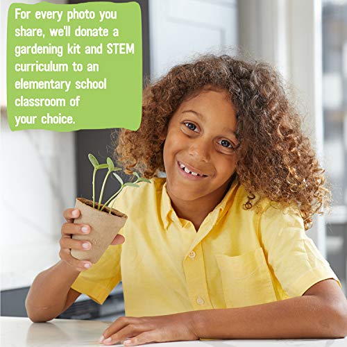 Kids Science Grow Kit (Bean and Watermelon Kit)