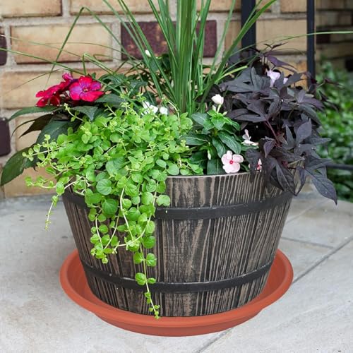 Plant Saucer 5 Pack 14 Inch Durable Plastic Plant Trays (14" (5 pack) / Terracotta)