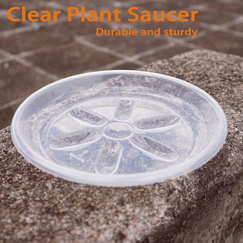 2 Pack of Plant Saucer 8 inch (8in*2 / Clear)