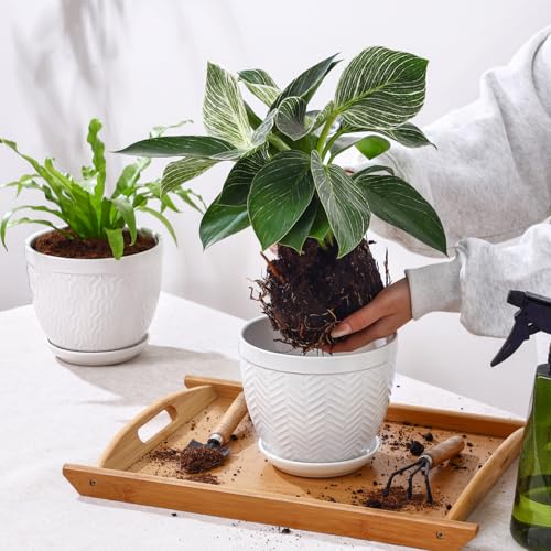 6.5" Ceramic Plant Pots Set of 2 (White / 6.5 inch)