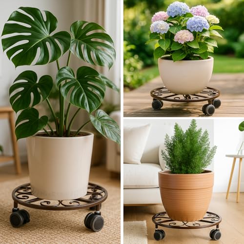 8 Pack Plant Caddy with Wheels & Saucers (Bronze)