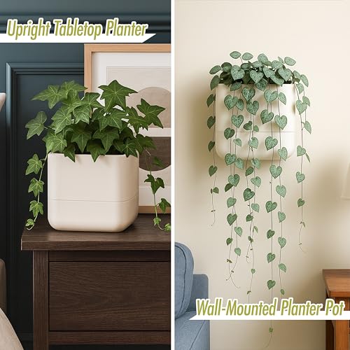 6.5 Inch Wall Mounted Self (6.5" (2 Pack) / Oatmeal)