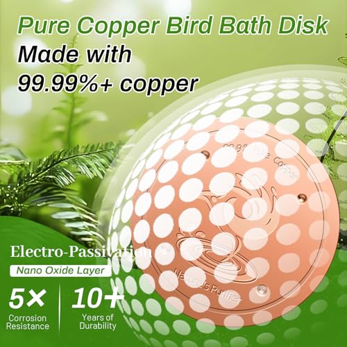 2 Pack Bird Bath Copper Disk (2Pcs)