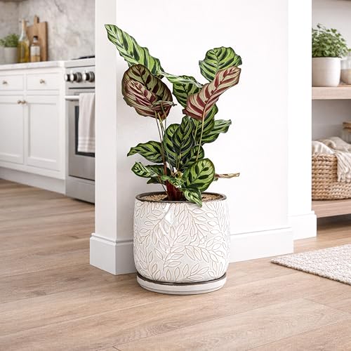 Embossed Leaves Ceramic Planter (8 Inch / Smoked White)