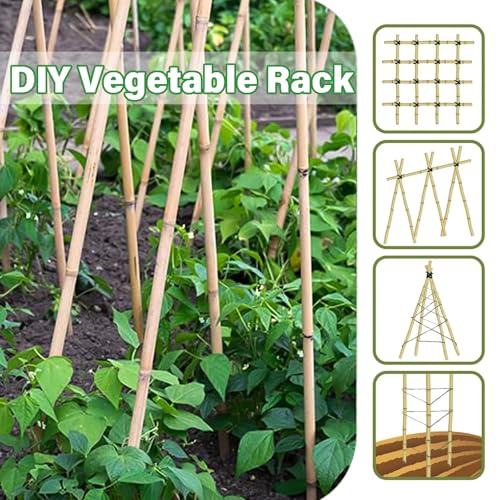 2ft Natural Bamboo Plant Stakes for Tomatoes (2FT 30PCS)