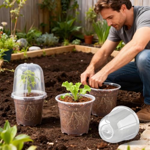 6 Inch Clear Nursery Pots with Humidity Dome (6 Inch Clear Pots With Domes-30p / 6Inch)
