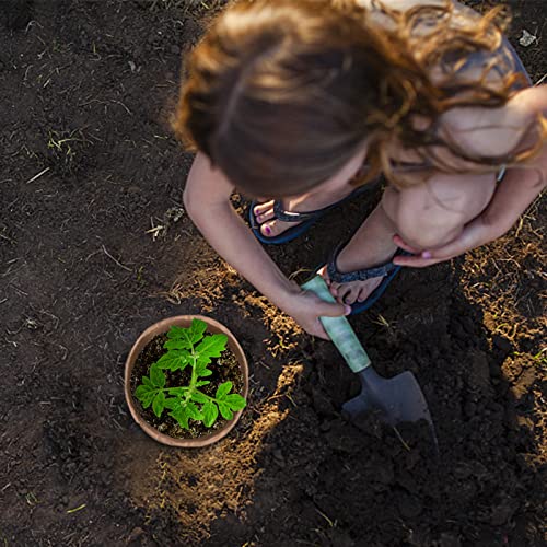 100 Pack 4 inch Peat Pots (100 Count)