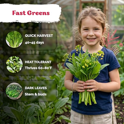 3700 Jung Green Yu Choy Sum Vegetable Seeds