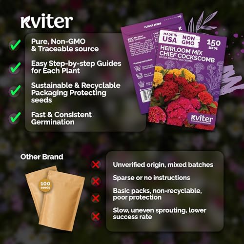 150 Chief Mix Cockscomb Heirloom Flower Seeds