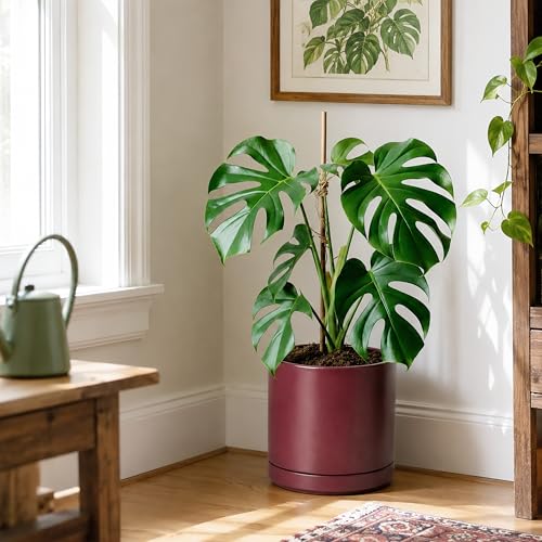 10 Inch Ceramic Planter Pot (Large / Cordovan)