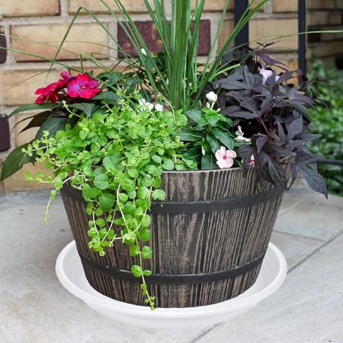 6 Pack of 8 inch Plant Saucer (8" (6 pack) / White)