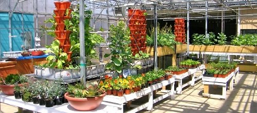 Vertical Gardening Planters