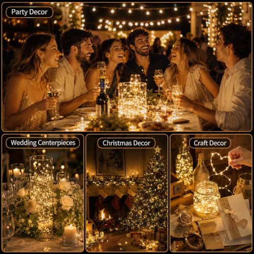 24 Pack Fairy Lights Battery Operated (2032-24 Pack-Warm & White)