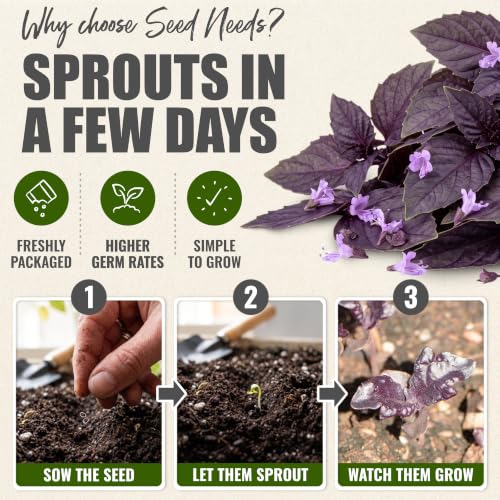 Herb Seeds to Plant Opal Basil (2 Packs)