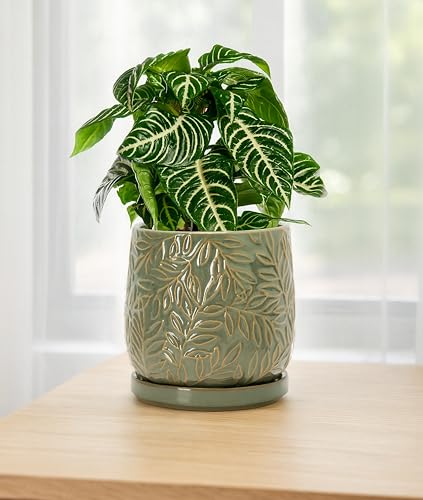 Embossed Leaves Ceramic Planter (6 Inch / Olive)