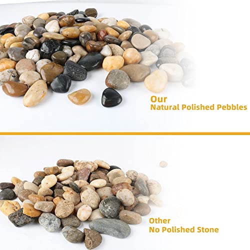 Pebbles for Plants 7 lb Natural River Rocks for Garden Outdoor Aquariums Gravel 1
