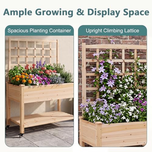 65'' Wooden Raised Garden Bed with Trellis & Legs (47” x 23” x 65”)