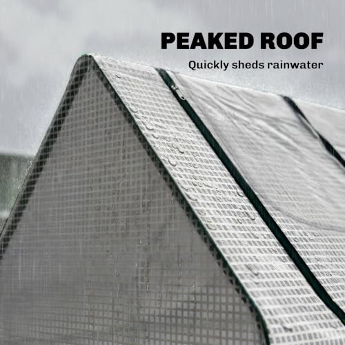 6' x 3' x 3' Portable Greenhouse with 2 PE (Clear / 6' x 3' x 3')